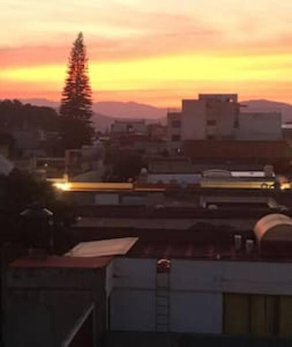 M1010 Agradable Departamento Centrico En Oaxacaアパートメント エクステリア 写真