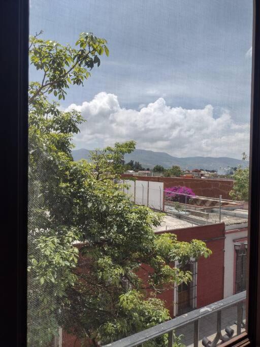 M1010 Agradable Departamento Centrico En Oaxacaアパートメント エクステリア 写真